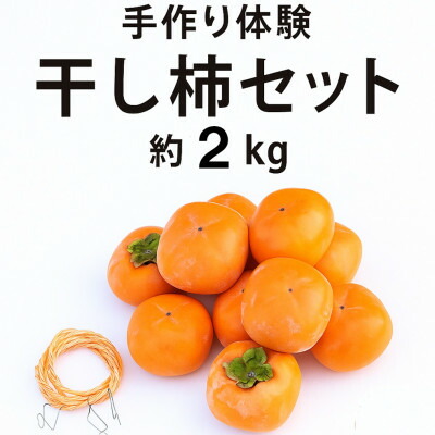【ふるさと納税】【先行予約】柳フルーツ園 干し柿セット 約10kg_ 干し柿 柿 かき カキ ドライフルーツ フルーツ 果物 セット 柳フルーツ園 美味しい 人気 おすすめ 送料無料 【1457279】