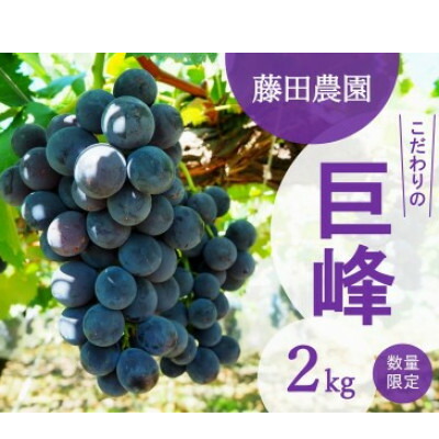 【ふるさと納税】【先行予約:2025年夏発送ぶどう】　藤田農園　こだわりの巨峰 約2kg【配送不可地域：離島・北海道・沖縄県】【1491521】