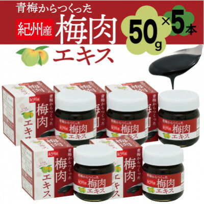 【ふるさと納税】青梅からつくった紀州産梅肉エキス【1箱50g入り×5箱セット】【1506636】