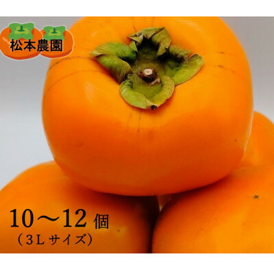 【ふるさと納税】【先行予約　2025年秋順次発送】秋の味覚のたねなし柿(3Lサイズ　10～12個)【1508705】