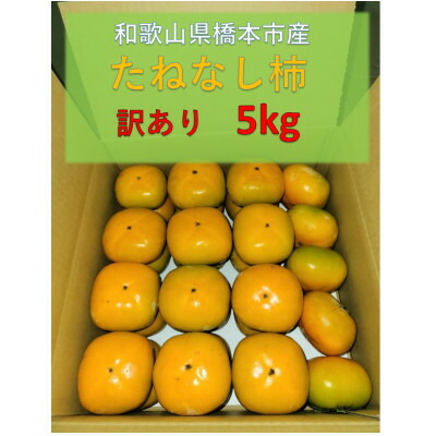 【ふるさと納税】【令和7年10月発送予定】藤田ぶどう園のたねなし柿(訳あり)5kg【1518445】