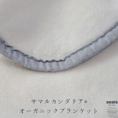 【ふるさと納税】サマルカンダリア　オーガニック綿毛布　クオーターサイズ　ナチュラル・ブルー 70cm&times;100cm_ 綿毛布 毛布 天然素材 無着色 無漂白 赤ちゃん 安心安全 ウズベキスタン 乾燥機対応 オーガニック 寝具【1583867】｜和歌山県橋本市