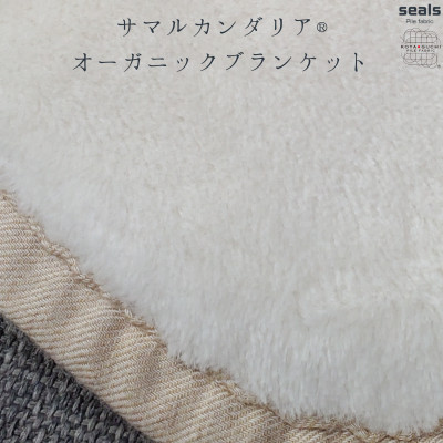 【ふるさと納税】サマルカンダリア　オーガニック綿毛布　クオーターサイズ　ナチュラル・ベージュ 70cm&times;100cm_ 綿毛布 毛布 天然素材 無着色 無漂白 赤ちゃん 安心安全 ウズベキスタン 乾燥機対応 オーガニック 寝具【1583899】｜和歌山県橋本市