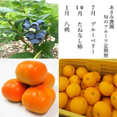 【ふるさと納税】【発送月固定定期便】2025-2026年　あさみ農園　旬のフルーツ3選全3回【配送不可地域：離島】【4012894】