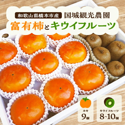 【ふるさと納税】富有柿とキウイフルーツの詰め合わせ_ 富有柿 9個 2L キウイフルーツ 8 ~ 10個 2L ~ 3L 果物 くだもの フルーツ 柿 かき キウイ 和歌山 人気 送料無料 【1077104】