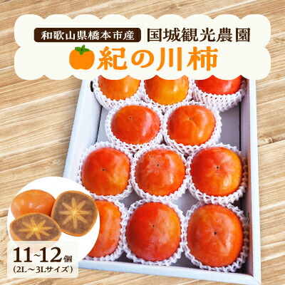 【ふるさと納税】国城観光農園の紀の川柿11～12個(2L～3Lサイズ)_ 果物 くだもの フルーツ 柿 かき 和歌山 人気 送料無料 【1077105】
