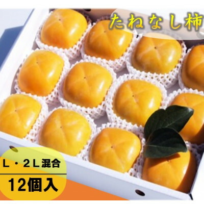 【ふるさと納税】柿【先行予約】柳フルーツ園 たねなし柿 (12個 箱入り) ギフトにも最適!【1021100】