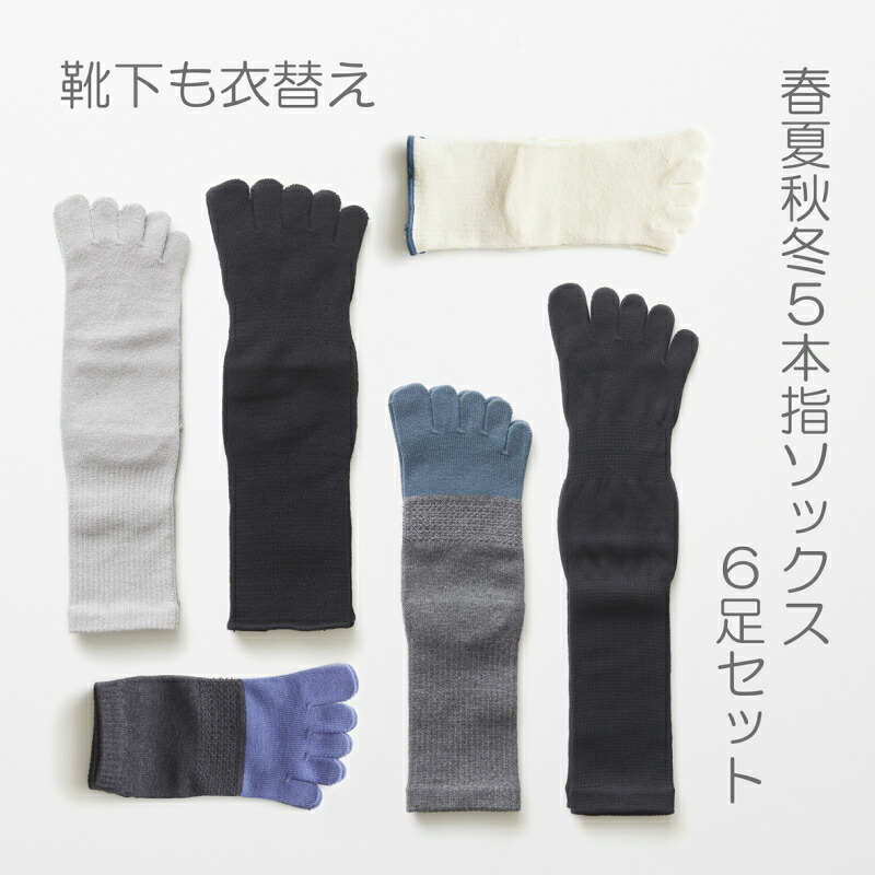 【ふるさと納税】5本指靴下春夏秋冬書き割り(25-27珊)(A423-3)