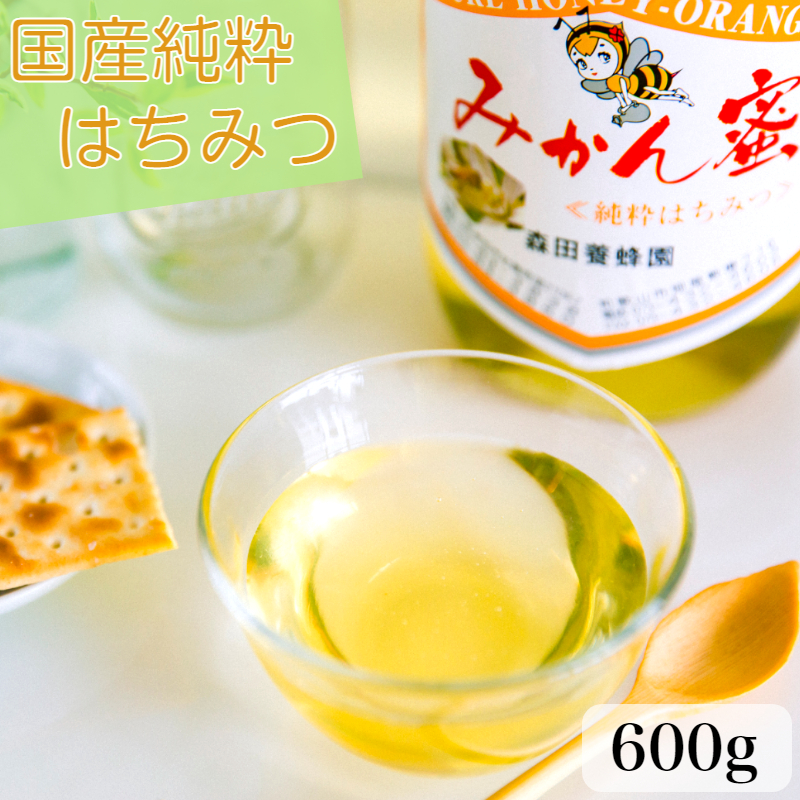 <br>【ふるさと納税】<br>国産純粋はちみつ(みかん蜜) 600g(A163-1)