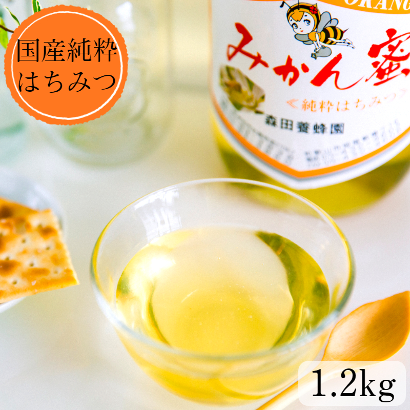 純正販売中 【ふるさと納税】 純粋はちみつギフトセット（260g×2