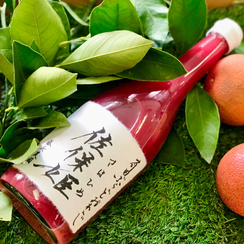 【ふるさと納税】有田ぶらっどおれんじ「佐保姫」720ml×2本セット（A662-1）