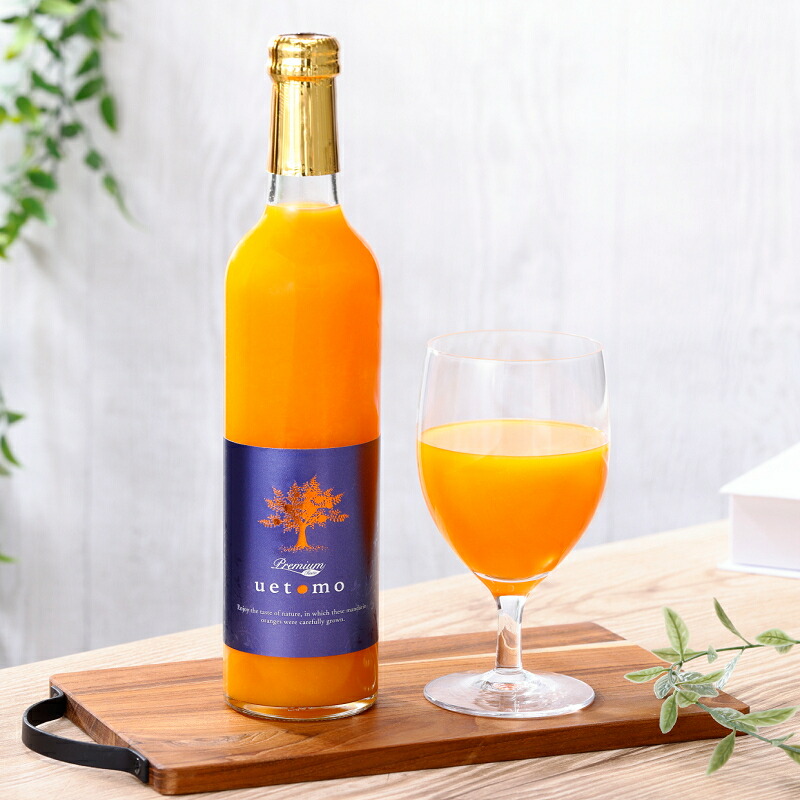 【ふるさと納税】 温州みかん100%ストレートジュース【Premium Taste uetomo】500ml×2本セット(A670-1)