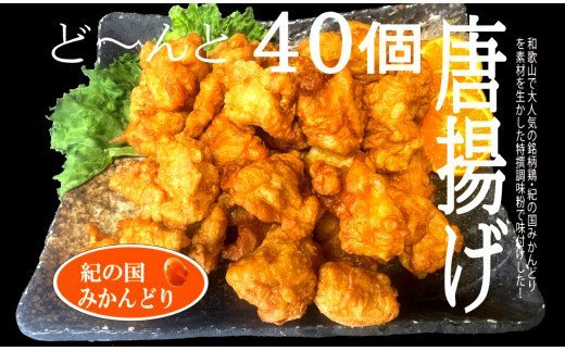 【ふるさと納税】 　紀の国みかんどり　特選唐揚げ40個セット(A582-1)