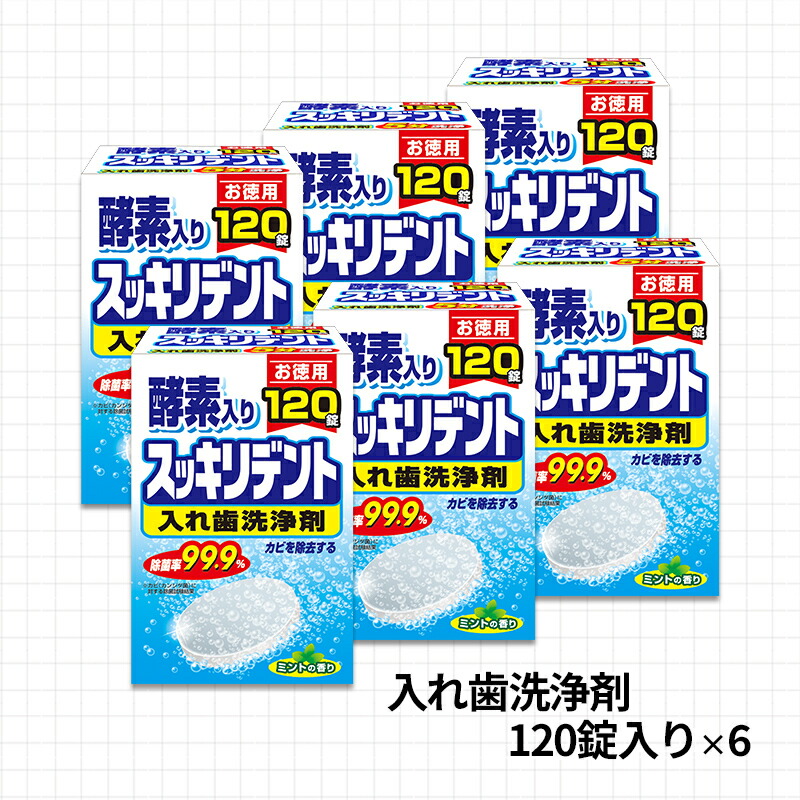 【ふるさと納税】 入れ歯洗浄剤セット(A885-1)