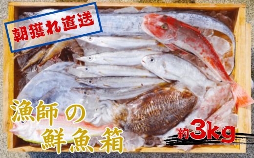 【ふるさと納税】 漁師の鮮魚箱（約3kg）(A889-3)