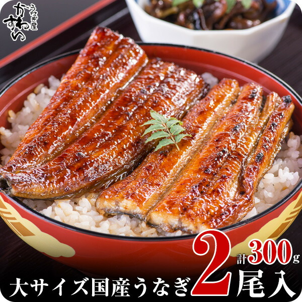 〈うなぎ屋かわすい〉国産うなぎ蒲焼き大サイズ2本セット 和歌山県 有田市 特産品 お取り寄せ グルメ ふるさと納税 うなぎ(kw-247)