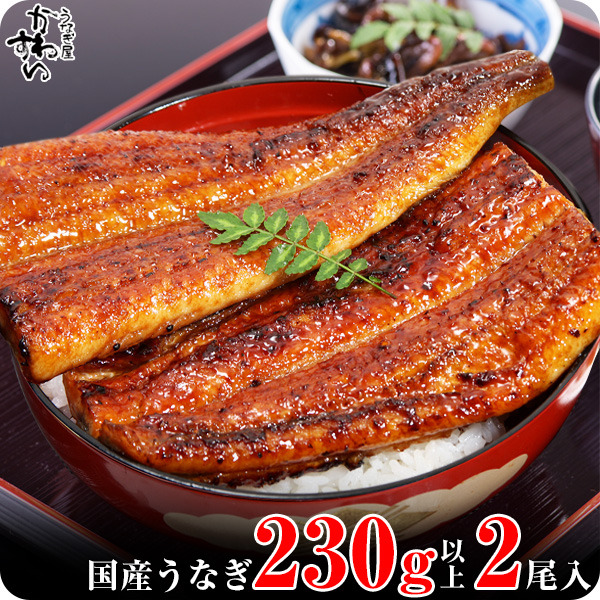 <br>【ふるさと納税】<br>〈うなぎ屋かわすい〉<br>1本230g以上！<br>超特大サイズ国産うなぎ蒲焼き2本セット(A632-2)<br>