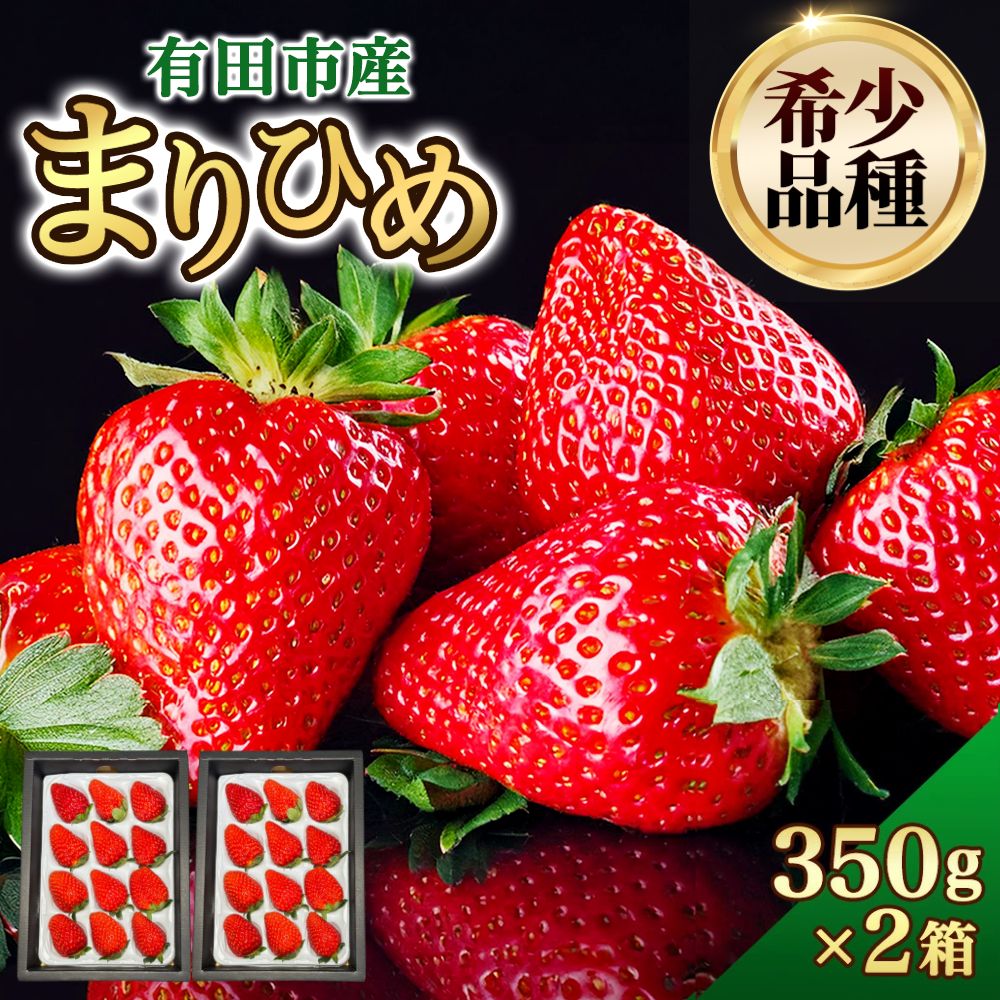 【ふるさと納税】★１月も順次発送★ 特選 いちご まりひめ 大粒 約350g×2箱 和歌山 苺 産地直送 濃厚 甘い フルーツ 果物 くだもの 人気 おすすめ 送料無料 国産 和歌山県有田市【12月中旬から順次お届け】 （A154-2）