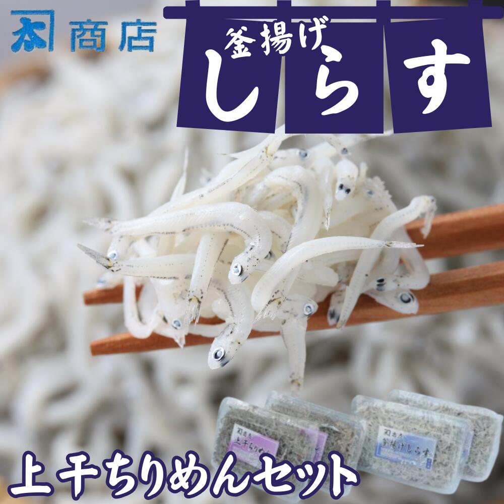 【ふるさと納税】釜揚げしらす【250g×2パック】と上干ちりめん【165g×2パック】セット(A693-2)|和歌山県有田市