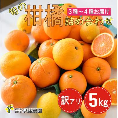 【ふるさと納税】訳アリ 旬のかんきつ詰め合わせ 5kg(A974-4)