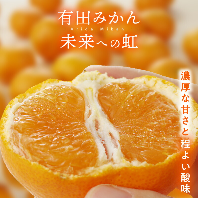 <br>【ふるさと納税】<br>有田みかん「未来への虹」 ５ｋｇまたは10kg（A2-2）<br>みかん ミカン mikan 有田 有田市 ありだ 和歌山 送料無料 産地直送 フルーツ 果物 てんこ盛り てんこもり 本場 甘い 濃厚 ジューシー SS S M L ふるさと納税 ふるさと 応援 寄附 先行予約 2S