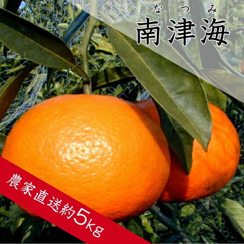 <br>【ふるさと納税】南津海（なつみ）（A140-1）