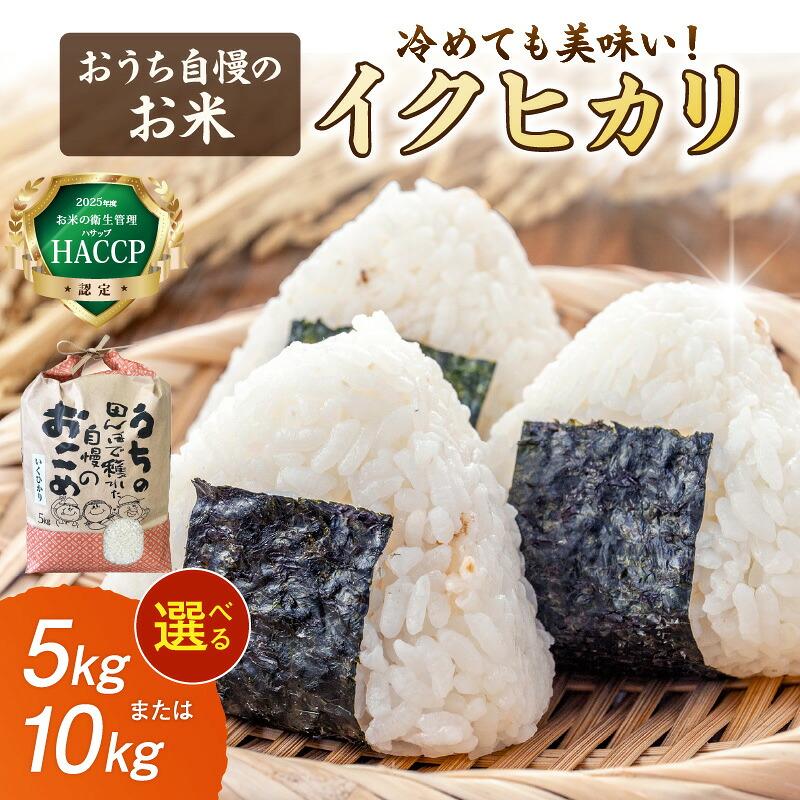 【ふるさと納税】おうち自慢のお米 イクヒカリ 5kg 10kg ふるさと納税 米 お米 精米 白米 ご飯|和歌山県御坊市