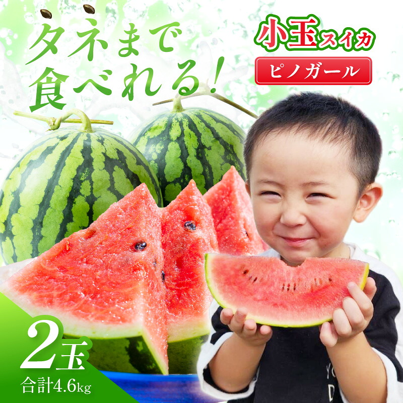 【ふるさと納税】選び抜いた！小玉すいか ピノガール 2L 2玉《先行予約》2026年6月上旬から順次発送予定【 配送不可地域：北海道・沖縄・離島】