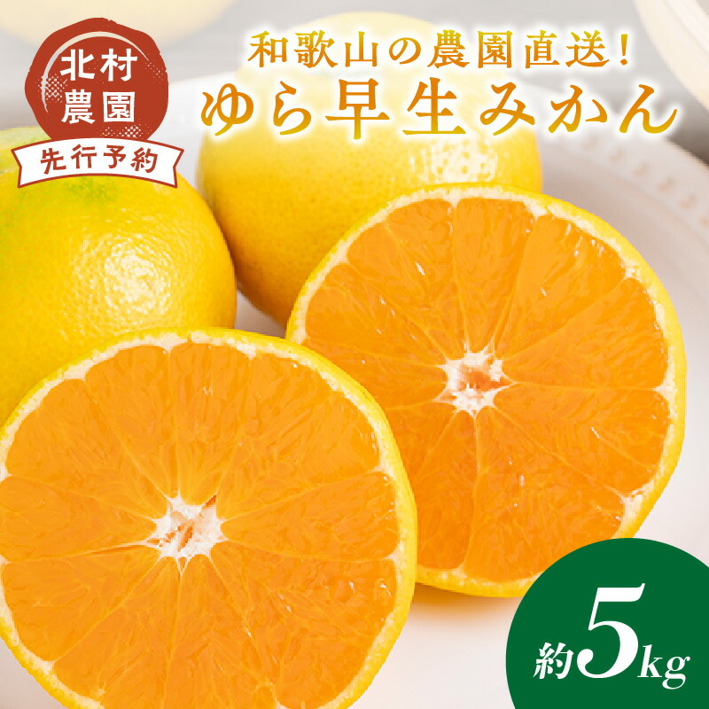 【ふるさと納税】和歌山の農園直送！北村農園のゆら早生みかん5kg《先行予約》 ふるさと納税 みかん 和歌山 ミカン フルーツ 果物 予約 2023 数量限定 期間限定 送料無料
