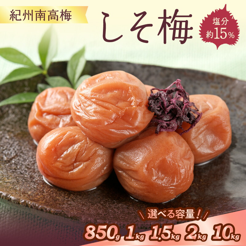 【ふるさと納税】紀州南高梅 しそ梅(塩分15%)850g 1kg 1.5kg 2kg 10kg(和歌山県産) 梅干し 梅干 うめぼし 送料無料 ふるさと納税 梅干し|和歌山県御坊市