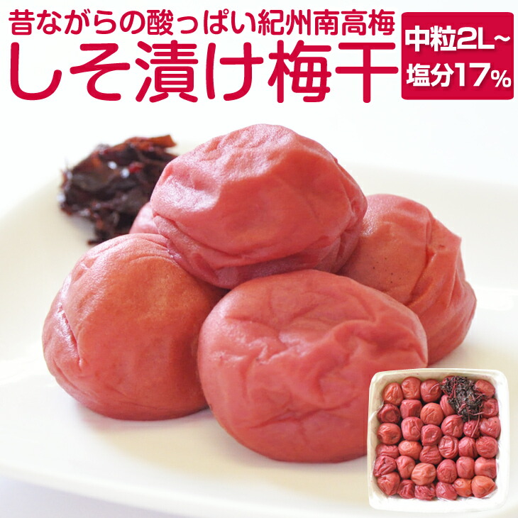 最大77％オフ！ ふるさと納税 御坊市 紀州南高梅 こんぶ風味(塩分8%) 10kg 通販
