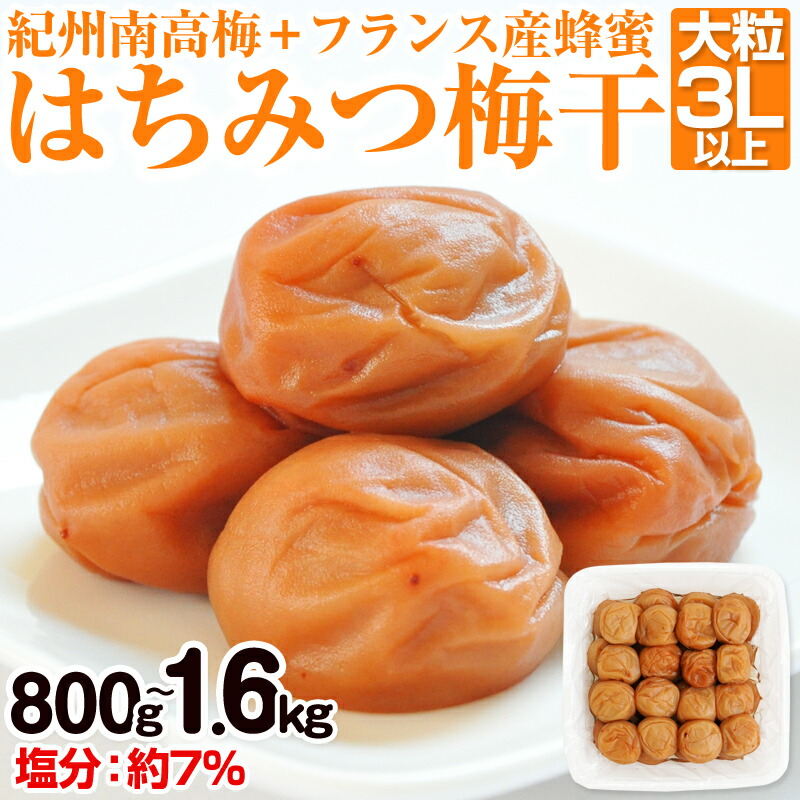 【ふるさと納税】はちみつ梅干(紀州南高梅)800g・1.6kg 大粒 3L以上 和歌山県産 ふるさと納税 梅干し ふるさと納税 はちみつ梅 ふるさと納税 うめぼし 梅 人気 800グラム 1.6キロ 送料無料 はちみつ 減塩｜和歌山県御坊市
