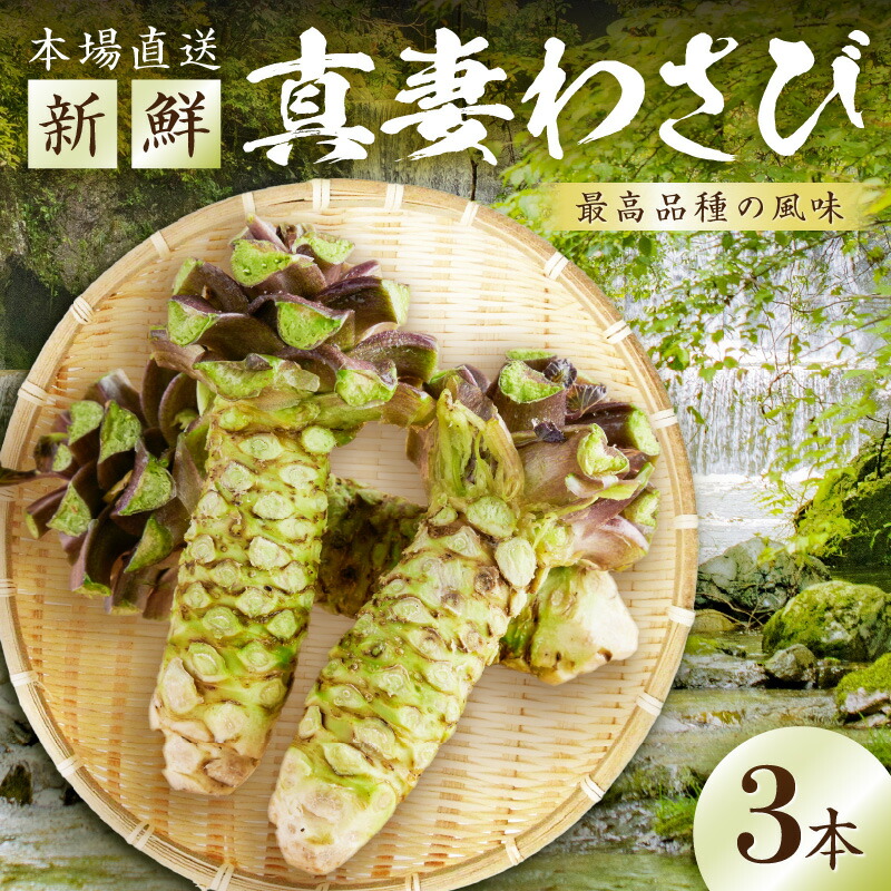 【ふるさと納税】発祥の地　和歌山県から直送　真妻わさび　３本