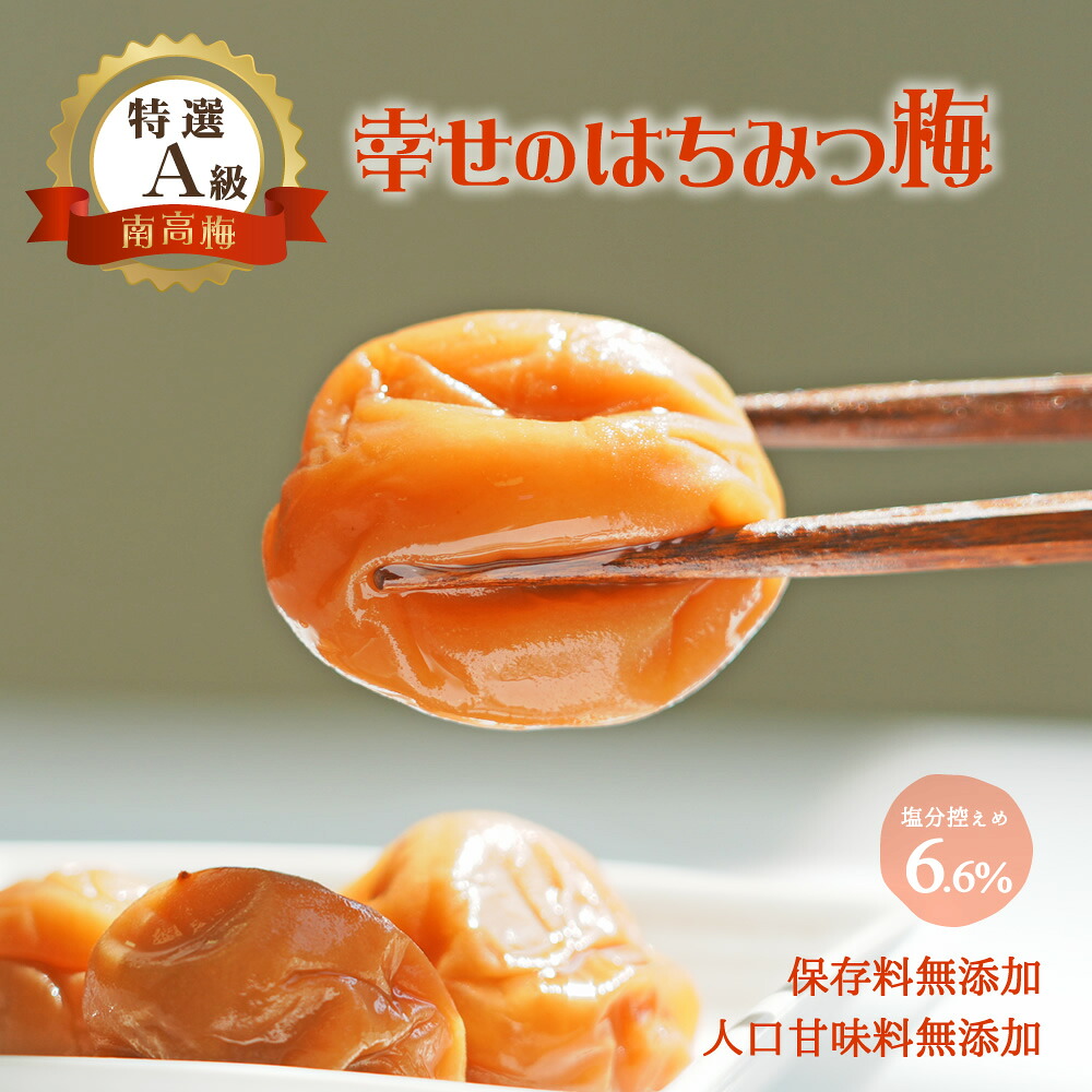 【ふるさと納税】幸せのはちみつ梅干(紀州南高梅)700g A級 大粒 3L以上 和歌山県産 うめぼし 梅干し 梅 700g 送料無料 ふるさと納税 梅干し はちみつ｜和歌山県御坊市