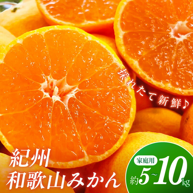 【ふるさと納税】【産地直送】ご家庭用紀州和歌山みかん 約5kg 10kg《先行予約》