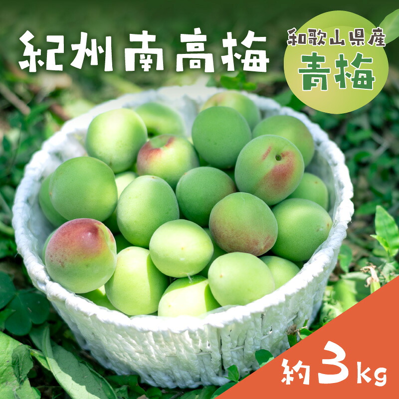 【ふるさと納税】和歌山県産　紀州南高梅　青梅【約3kg】≪先行予約2026年6月初旬頃より順次発送予定分≫