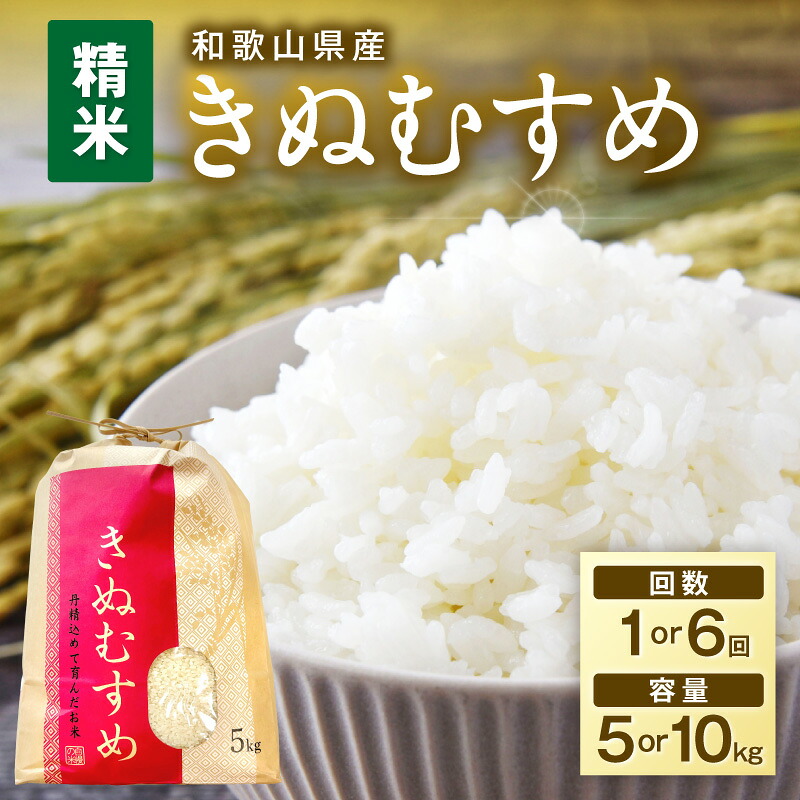 【ふるさと納税】令和7年産 和歌山県産 「きぬむすめ」 精米 5kg 10kg 1回 6回 定期便|和歌山県御坊市