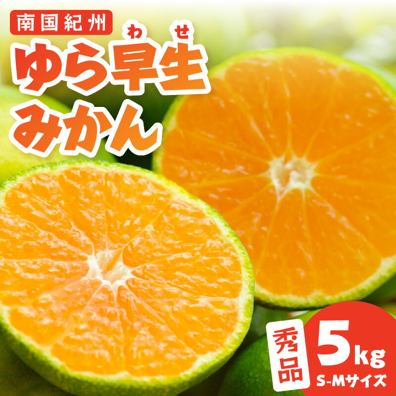【ふるさと納税】南国紀州のゆら早生みかん(秀品)《配送不可地域：離島》