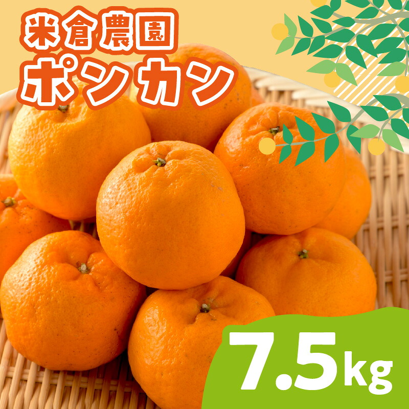 【ふるさと納税】ポンカン 7.5キロ《先行予約2027年1月中旬頃より順次発送予定》 ふるさと納税 みかん 蜜柑 柑橘 ポンカン 7.5kg 甘い｜和歌山県御坊市