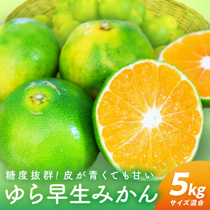 【ふるさと納税】糖度抜群！ゆら早生（みかん）5kg≪先行予約≫｜和歌山県御坊市