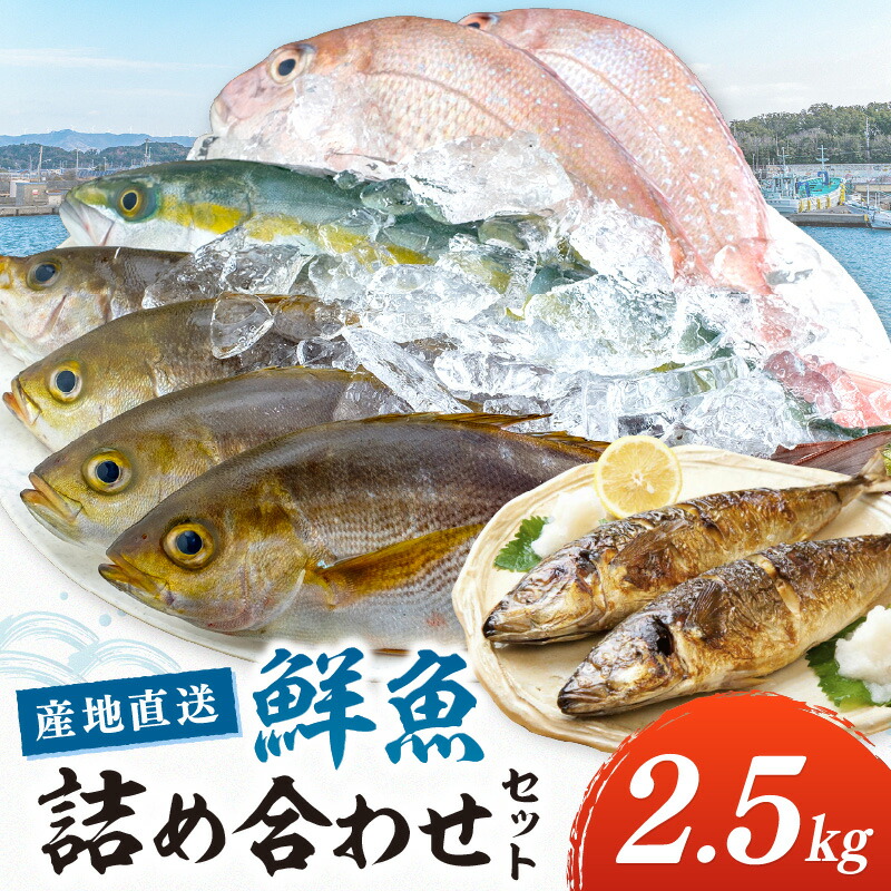 【ふるさと納税】御坊産　鮮魚セット2.5kg 鮮魚 天然 詰め合わせ 朝どれ 冷蔵 新鮮 アジ サバ タチウオ 太刀魚 タイ 漁港 和歌山県産 御坊産 送料無料 発送時期が選べる