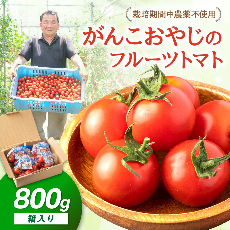 【ふるさと納税】がんこおやじのフルーツトマト
