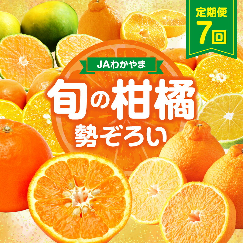 【ふるさと納税】JAわかやま紀州 柑橘勢ぞろい セット 7回 定期便 ふるさと納税 みかん 定期便|和歌山県御坊市