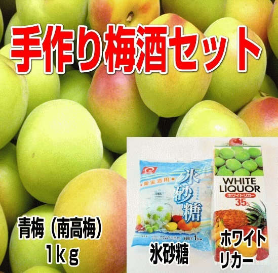 楽天市場 ふるさと納税 手作り梅酒セット 紀州南高梅 氷砂糖 ホワイトリカー 3点セット 和歌山県御坊市