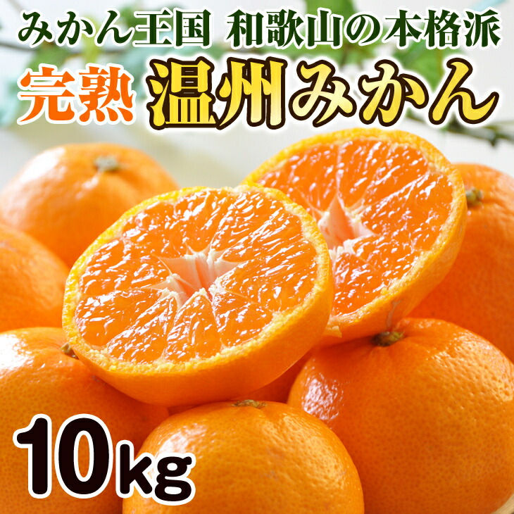 【楽天市場】【ふるさと納税】和歌山のみかん職人が作る 完熟温州みかん 10kg：和歌山県御坊市