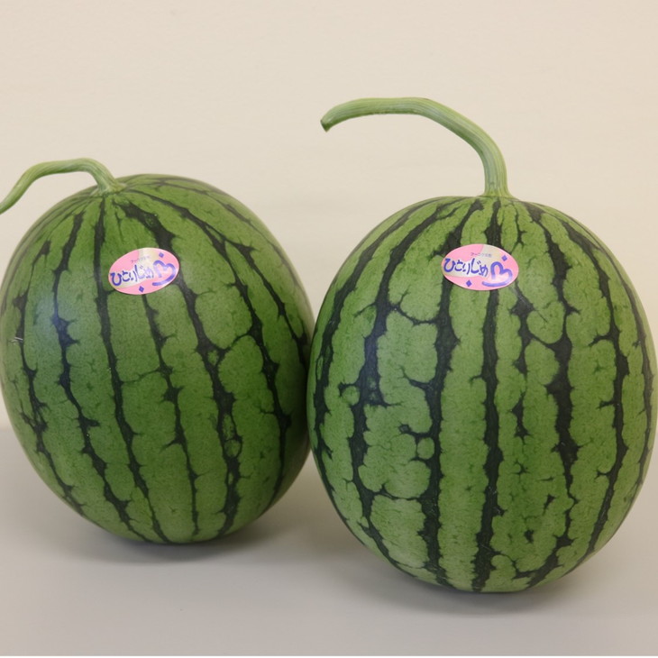 【ふるさと納税】御坊産小玉すいか　ひとりじめ L～2L寸(2玉約4～5kg)