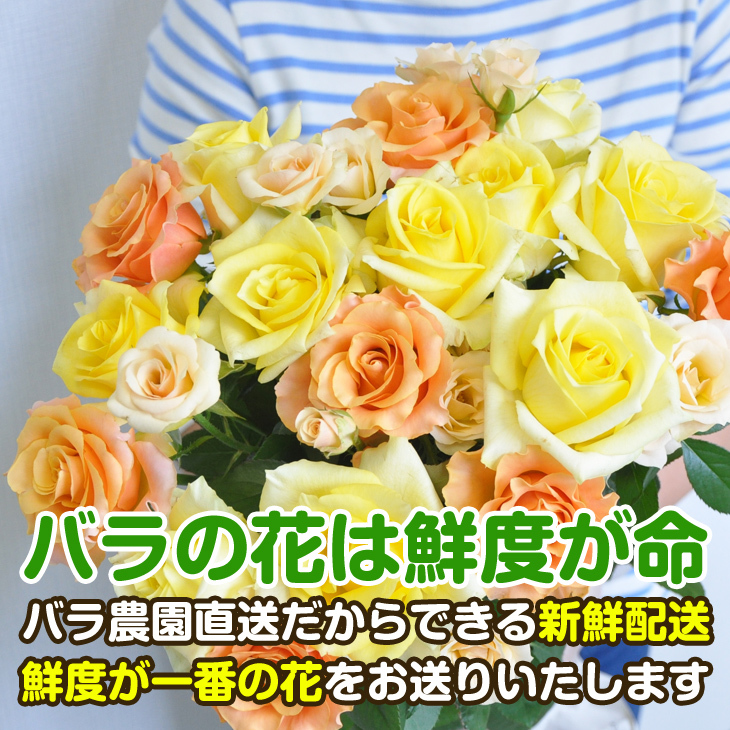 楽天市場 ふるさと納税 バラの花 約本 花のまち御坊産の薔薇 生産者から新鮮直送 和歌山県御坊市