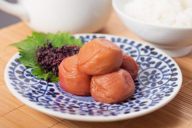 楽天市場 ふるさと納税 紀州南高梅しそプレミアム塩分6 和歌山県御坊市