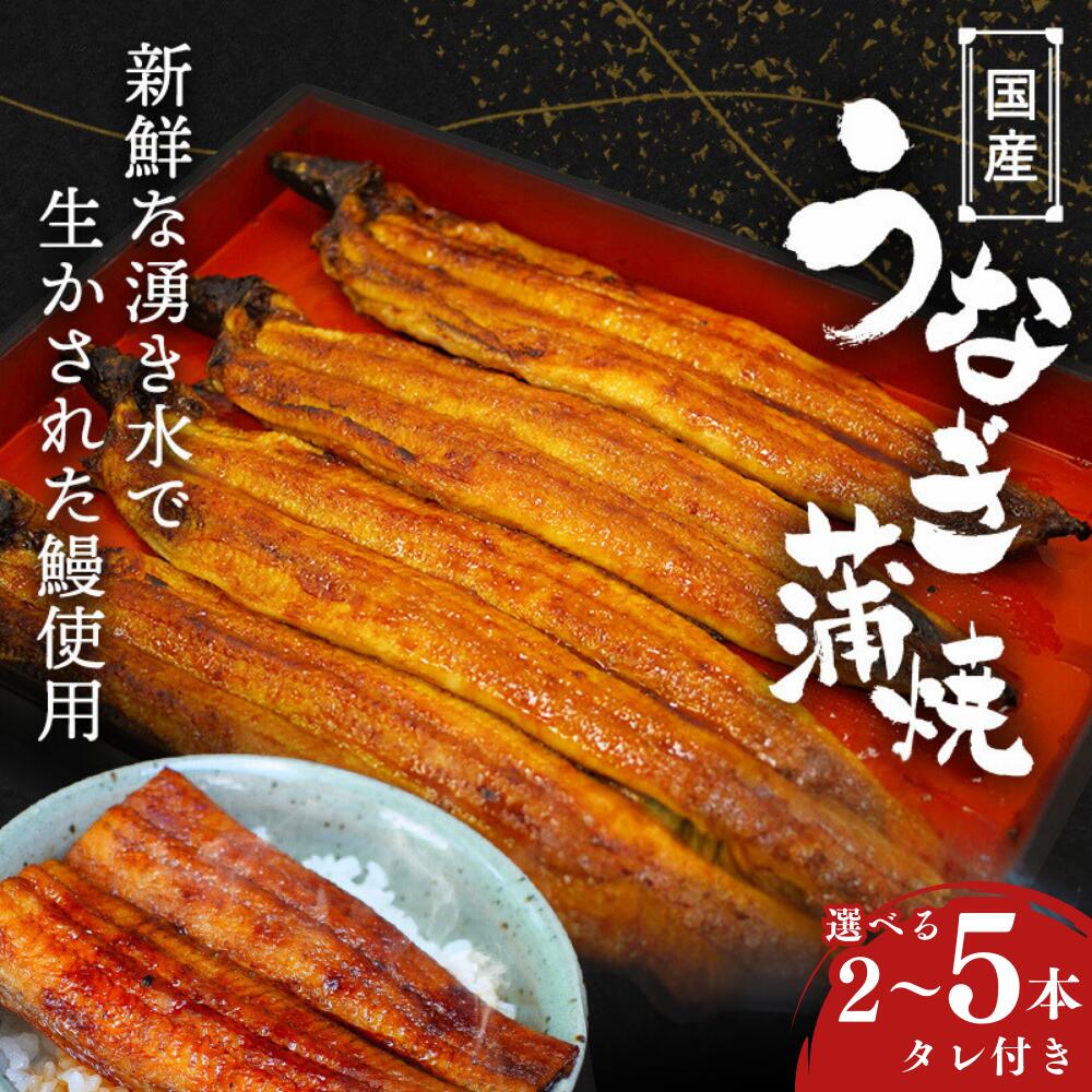 森永アイスクリーム　下敷き　 野球選手デザイン 森永アイスクリーム 下敷き 野球選手デザイン 森永アイス