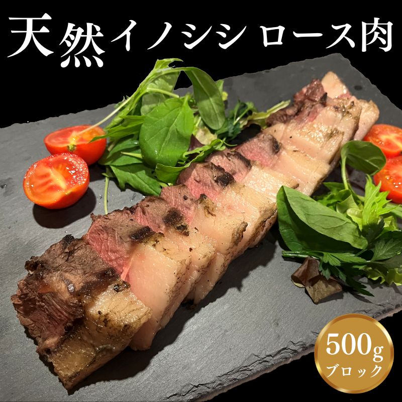 【ふるさと納税】肉塊「紀州イノシシ　ロース肉」ブロック500g / 田辺市 猪肉 イノシシ肉 イノシシ ボタン ロース 塊 肉 ブロック 紀州ジビエ ジビエ